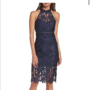 Bardot isla lace navy blue halter dress